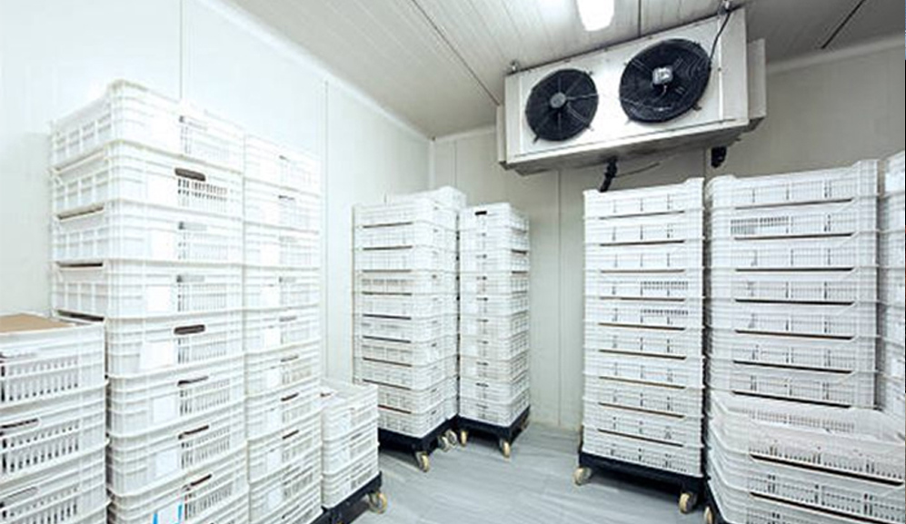 作品集課程學員作品