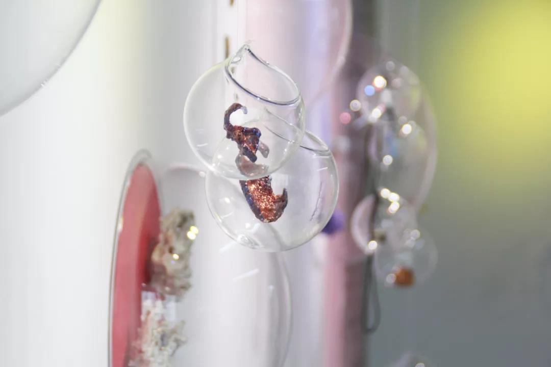 大家的畢業(yè)展