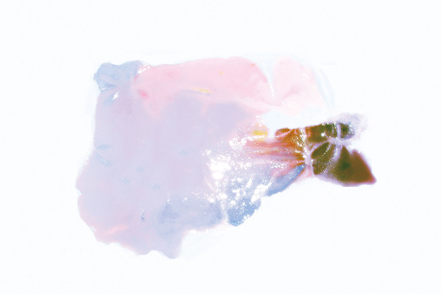 鄭智引 字體設計