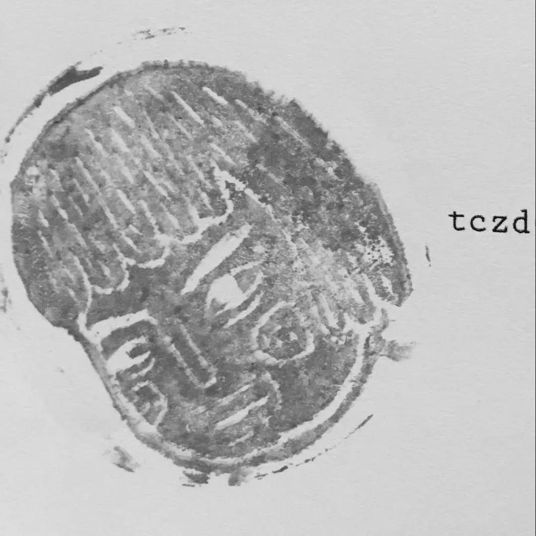  tczd 