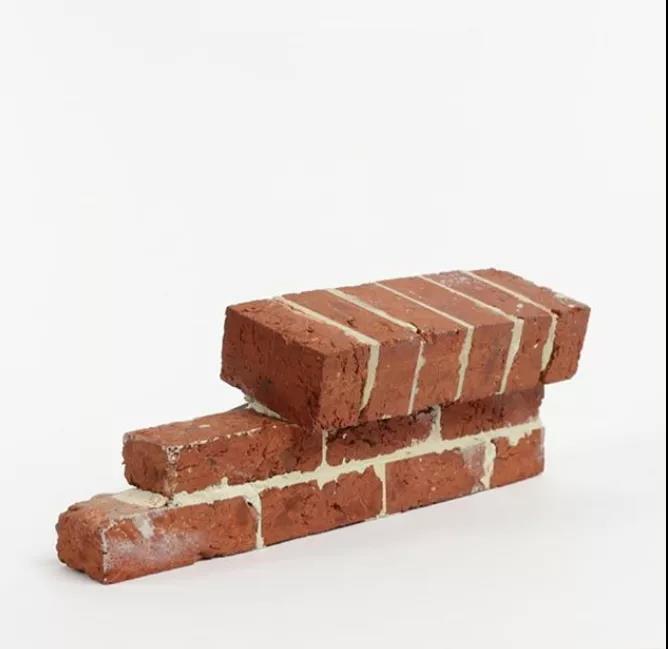 Perception 11, 2015-16