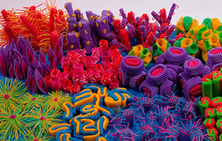 從畢業(yè)展了解RCA最新趨勢！皇藝2022畢業(yè)展線上觀展指南